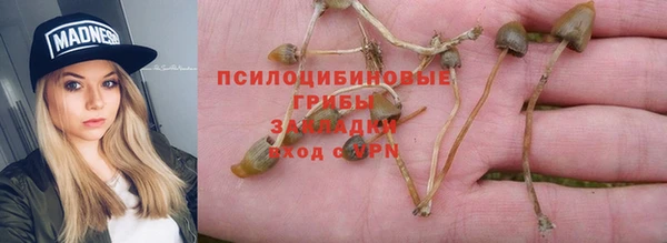 СК Володарск
