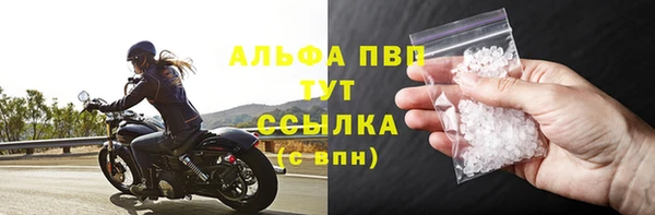 СК Володарск