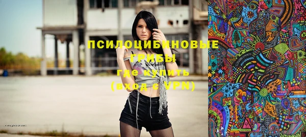 ПСИЛОЦИБИНОВЫЕ ГРИБЫ Волосово