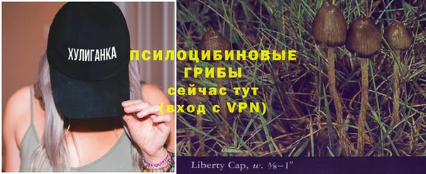 СК Володарск