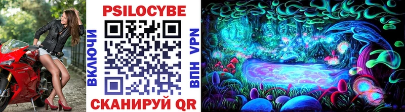 Галлюциногенные грибы Psilocybe  Купить закладки  Октябрьск 